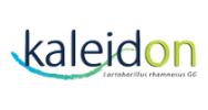 Kaleidon