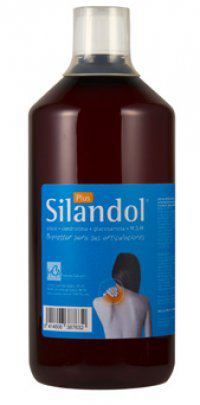 Silandol Plus 1Liter