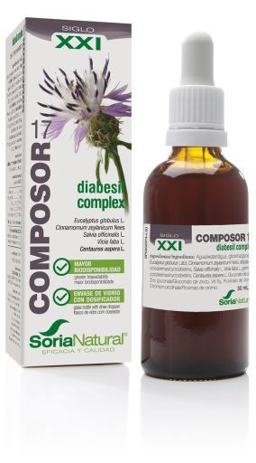 Composition 17 Diabesil complex 21st century 50 ml