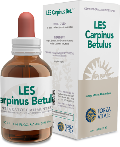 Carpinus Betulus Hornbeam 50 ml