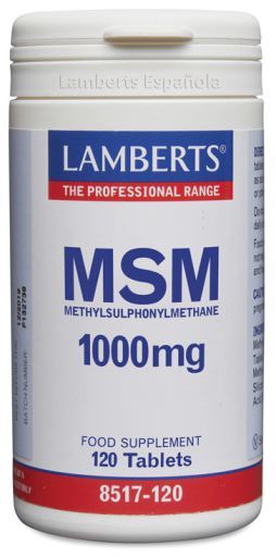MSM natural source 1000 mg 120 tablets