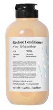 Back Bar Restorative Conditioner N07 Betacarotene