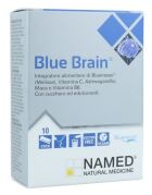 Blue Brain 10 Sticks