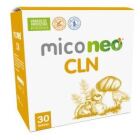 Mico Cln 30 Envelopes